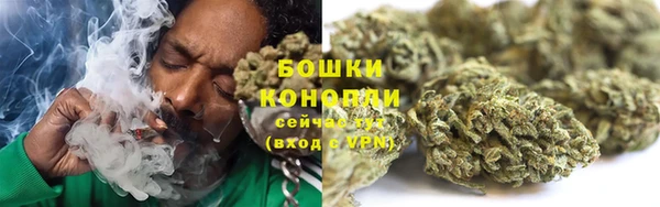 ГАЛЛЮЦИНОГЕННЫЕ ГРИБЫ Волосово
