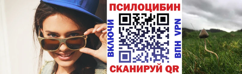 магазин продажи наркотиков  ОМГ ОМГ ТОР  Галлюциногенные грибы Psilocybine cubensis  Якутск 