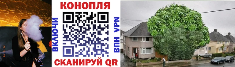 хочу наркоту  Якутск  Марихуана гибрид 